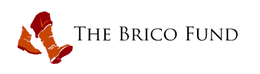 The Brico Fund Logo